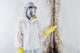 Best Emergency Mold Remediation  in Matamoras, PA